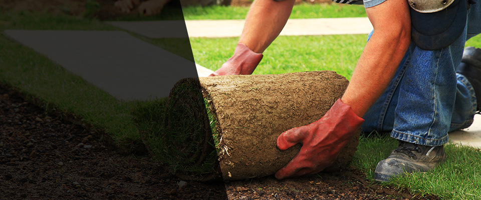 Peotone Landscapers